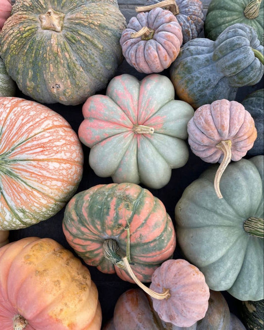 Pumpkin Porch Package #1