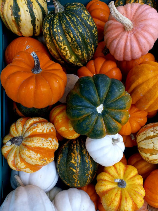 Pumpkin Porch Package #3
