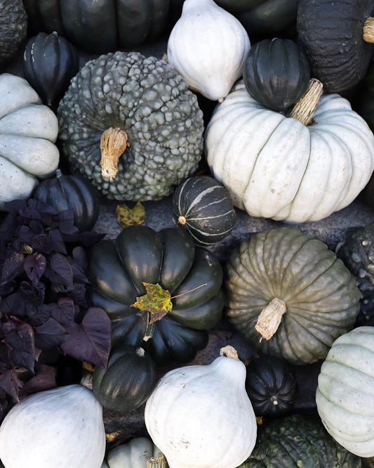 Pumpkin Porch Package #2